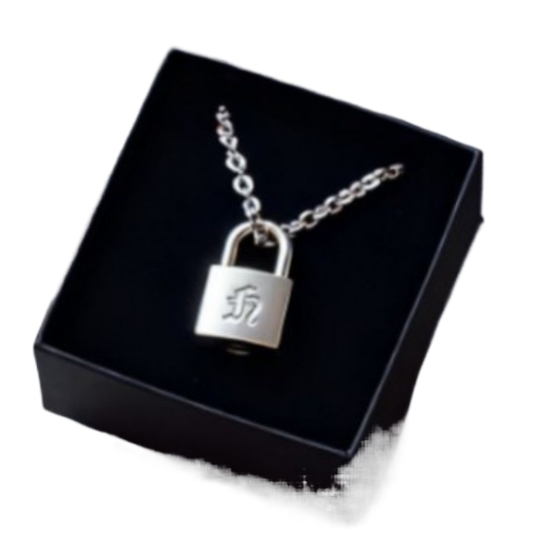 Smooth Matte Finish Metal Lock - Vintage Fashion Necklace avis et prix